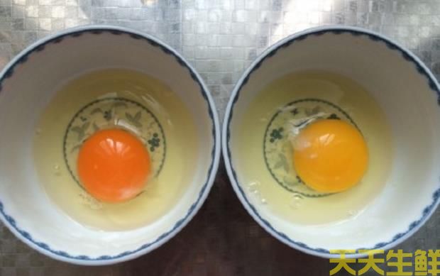 廣州蔬菜配送告訴你常見雞蛋有哪些品種？(圖2)