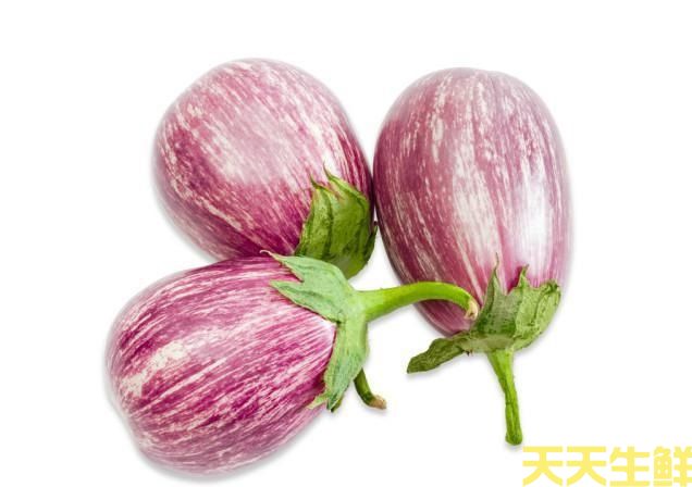 廣州農(nóng)產(chǎn)品配送公司告訴你，茄子的種類(lèi)有哪些？(圖5)