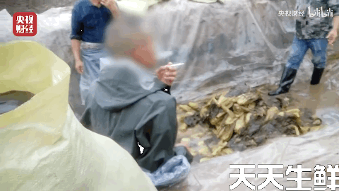廣州蔬菜配送公司分析，土坑酸菜到底坑害了誰？(圖2)