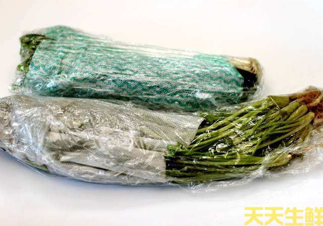 廣州蔬菜配送公司告訴你，蔬菜如何保鮮？(圖2)