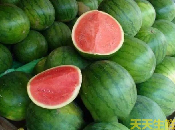 廣州蔬菜配送公司分享:常見西瓜的品種有哪些？(圖4)