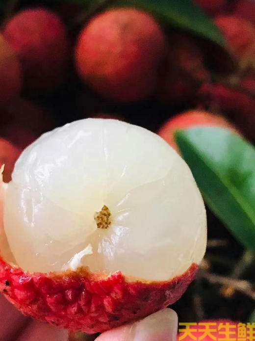 荔枝的品種有哪些？廣州蔬菜配送公司科普(圖16)