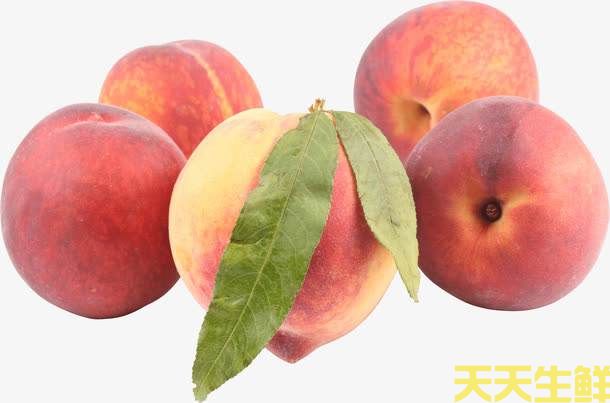 夏季炎熱吃什么水果好？廣州蔬菜配送公司分享6種消暑水果(圖2)